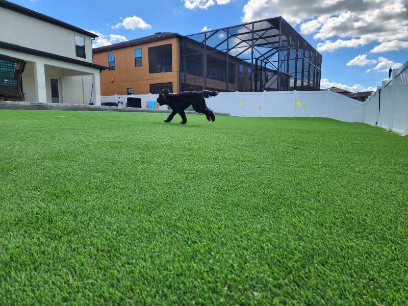 Synthetic Grass for Pet K9 Turf Installation